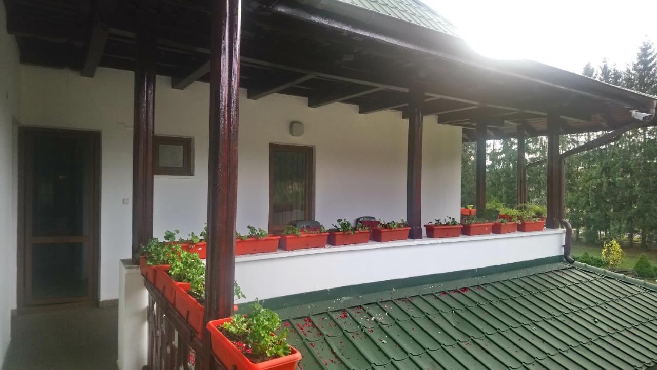Casa "Ierusalim-Hozeva-Hozeva" Guest House Minastirea Neamt Luaran gambar